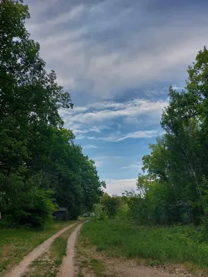 Стрежень в Самаре, Прибрежная ул., 1Б - фото, отзывы 2024, рейтинг, телефон  и адрес