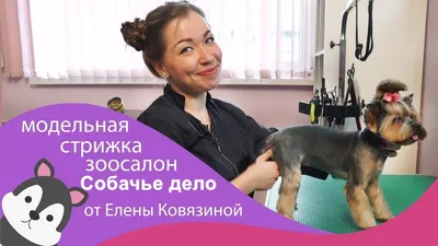 Фотографии йорков с красивыми и оригинальными стрижками