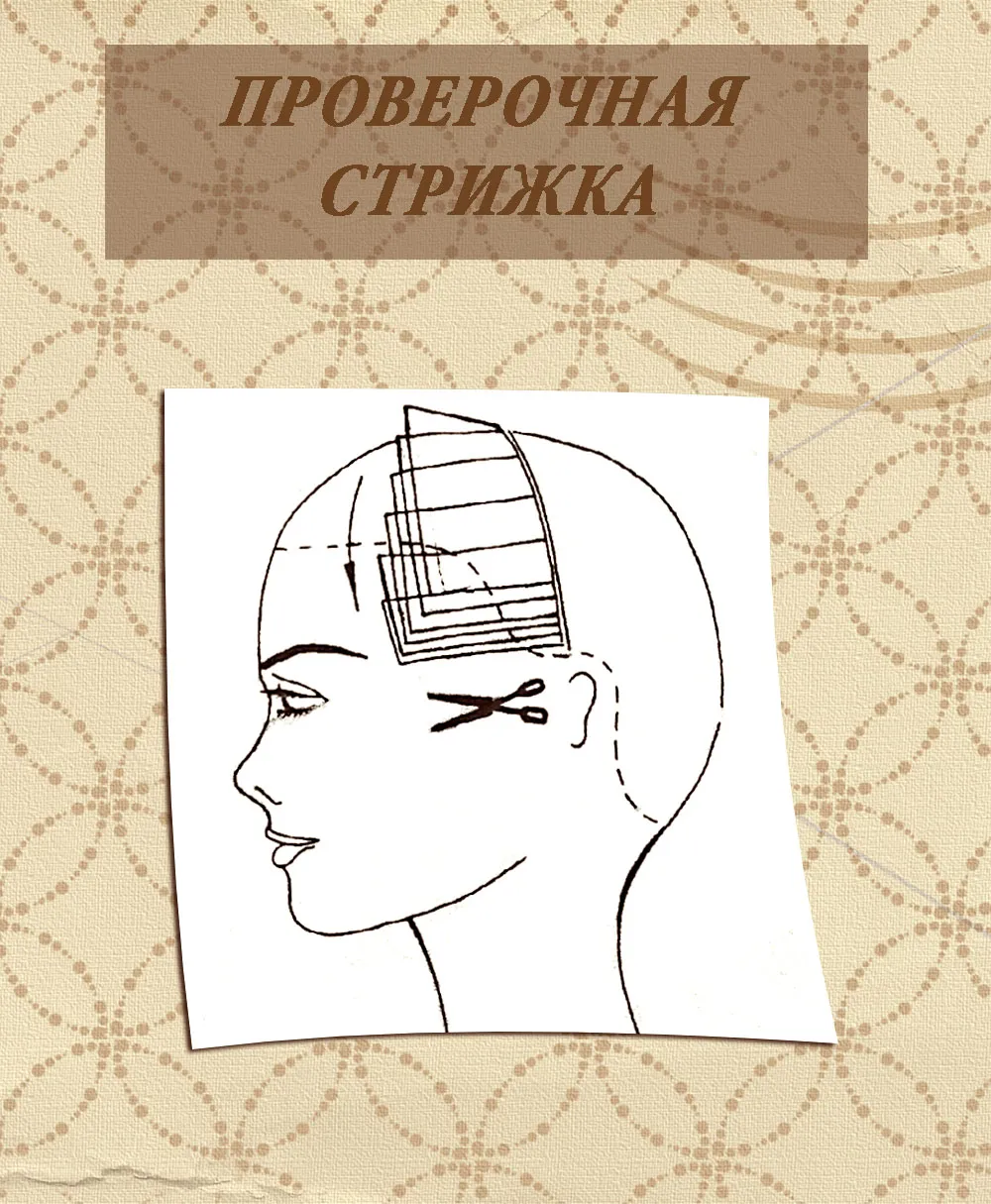 Стрижка проверочное. Стрижка каприз схема. Стрижка каприз схема стрижки. Проверочная стрижка. Слайсинг стрижка схема.