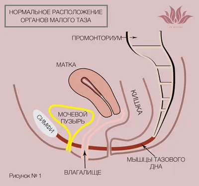 Рак ротоглотки - симптомы, признаки.