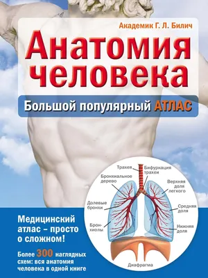 Иллюстрация 17 из 25 для Анатомия человека. Полный компактный атлас - Юрий  Боянович | Лабиринт - книги. Источник: