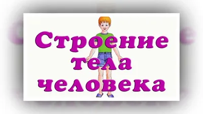 Тест: Хорошо ли вы знаете анатомию человека?