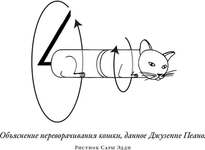 Картина «Кошка на окошке». Художник Валерий Вальран. Купить репродукцию  картины. – интернет-магазин Erarta Shop