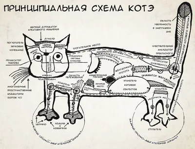 Красный окрас кошек