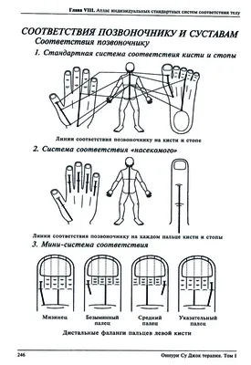 Мастер-класс по Су Джок терапии