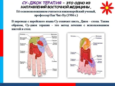 Детский сад комбинированного вида №7 г. Тобольска | Новости