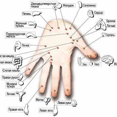 Су-Джок терапия в Детокс-клинике \"Красное озеро\"