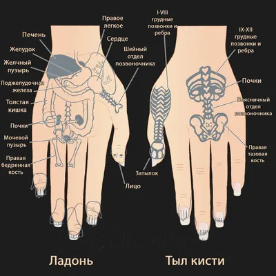 Су Джок / Массажер для рук / для гимнастики пальцев / Шар и 2 кольца /  электрические витамины купить в Москве в одном из наших магазинов или с  бесплатной доставкой по Москве