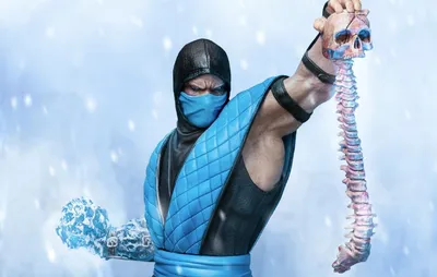 Sub zero | Sub zero mortal kombat, Mortal kombat 1, Mortal kombat art