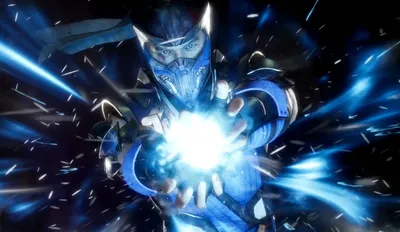 Sub-Zero | Character Profile Wikia | Fandom