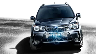 2012 Subaru Forester Осенний Лес Задние Дороги — стоковые фотографии и  другие картинки Осень - Осень, 2012, 4х4 - iStock