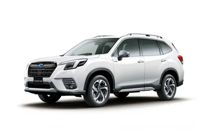 SUBARU LOGO | Subaru logo, Subaru, Subaru forester