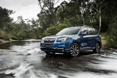 Subaru forester картинки фотографии