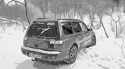 Картинка Субару Forester машины Белый фон