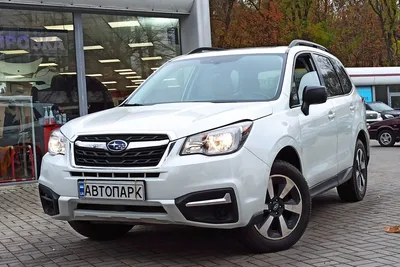 Картинки на тему #forester - в Шедевруме