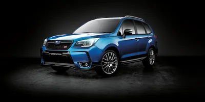 Subaru Forester На Грязной Дороге В Лесу — стоковые фотографии и другие  картинки 4х4 - 4х4, Внедорожник, Горизонтальный - iStock