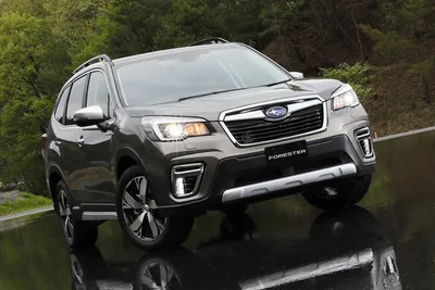 Новый Subaru Forester: первые фотографии?