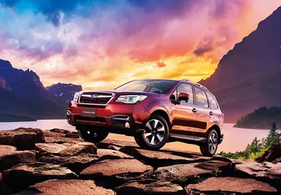 Фанаты оценят: чем удивил гибридный Subaru Forester - Україна За кермом