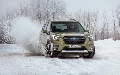 Subaru Forester В Снегу — стоковые фотографии и другие картинки 4х4 - 4х4,  Автомобиль класса SUV, Внедорожник - iStock