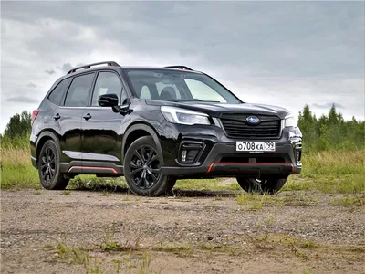 Фотогалерея Forester SJ NEW — Subaru Forester (SJ), 2 л, 2014 года |  фотография | DRIVE2