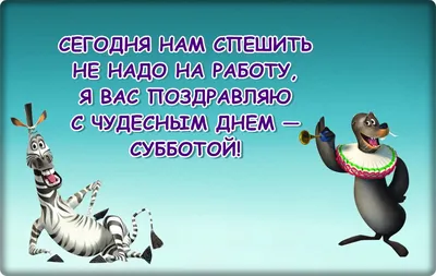 Юмор за день и суббота