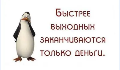 суббота / смешные картинки и другие приколы: комиксы, гиф анимация, видео,  лучший интеллектуальный юмор.