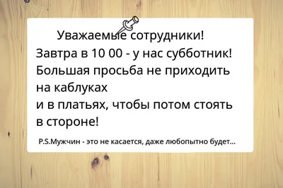 Городской субботник в детском саду - Детский сад №119 г. Калининград