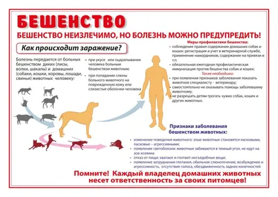 Шампунь от блох и клещей для собак и кошек дегтярный твердый, 85 г