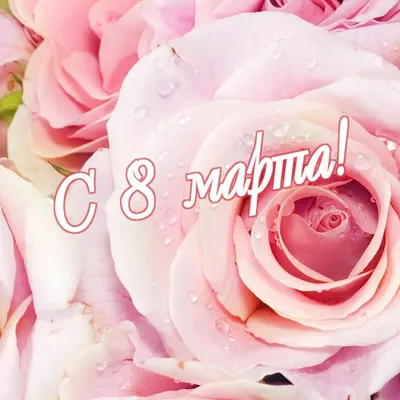 Супер поздравления с 8 марта бабушке от внучки🌹музыкальное веселое🌹 |  Праздничные открытки, Праздник, Бабушки