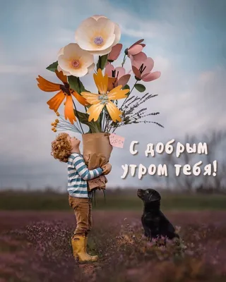 С Добрым Утром ! 💖 Супер Песня !💖Желаю Света и Мира , желаю всем быть  Счастливым !💖 - YouTube