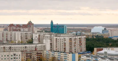 Выпускники Сургута пополнили свою аллею новыми саженцами | 25.05.2023 |  Сургут - БезФормата