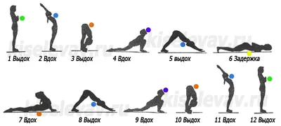 Сурья-намаскар в стиле Бихарской школы йоги (с мантрами и визуализацией).  Сайт Киселёвых Алексея и Татьяны