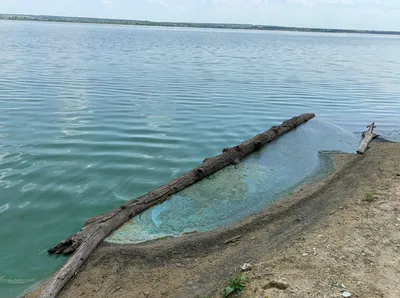 Пензенское водохранилище (Пензенская область) - «Его называют Сурским  морем, им гордятся, его берега заняты отдыхающими всё лето. Но можно ли  здесь загореть, не наткнувшись на мусор? Подробное описание.» | отзывы