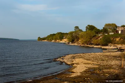 В Пензенской области выпустили молодь толстолобика в Сурское водохранилище  - PenzaNews