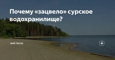 Сурское водохранилище превратили в помойку