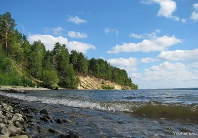 Пензенцев предупредили, что Сурское водохранилище «зацвело» — Общество —  Пенза СМИ