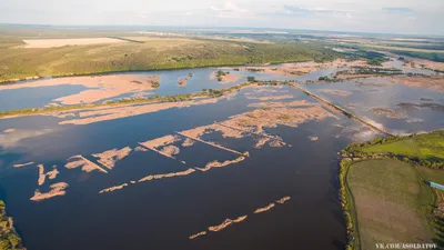 В Сурское водохранилище запустили 6,5 тысяч штук молоди толстолобика