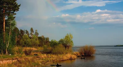 Сурское водохранилище с высоты птичьего полета. — Мгновения жизни —  фотогалерея Александра Солдатова