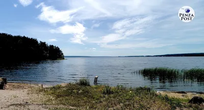 В Пензенской области машина упала в Сурское водохранилище с обрыва