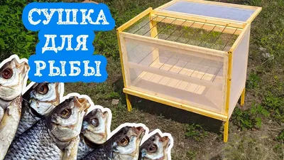 Сушилку для рыбы из старых материалов | ⭕ХОТА Н🅰️ РЫБАЛКУ🎣🐟 | Дзен