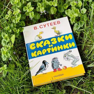 Сказки и картинки, В. Сутеев - «Лучший сборник сказок и картинок Сутеева!!  Рекомендую» | отзывы