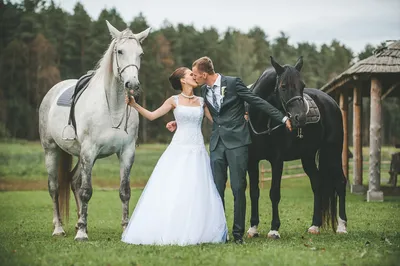 Свадьба на лошадях фото