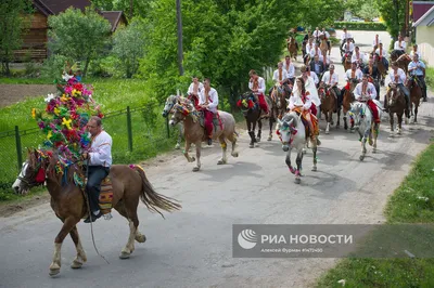 Красивые лошади на свадьбе: выберите свой размер изображения