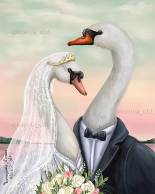 Wedding swans.Swans bride and groom. | Иллюстрации, Свадебные открытки,  Лебедь