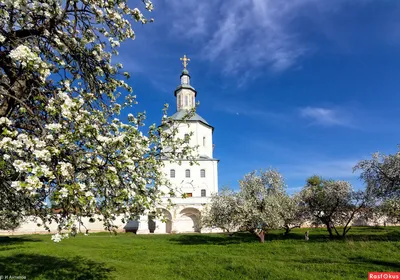 Свенский монастырь Брянск