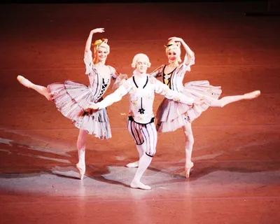 Большой театр - трансляция балета «Лебединое озеро» - Бинокль