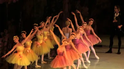 Театр русского балета им. Анны Павловой (Anna Pavlova ballet theatre) |  Друзья, в воскресенье, 24 октября, мы приглашаем вас на гала-концерт  \"Шедевры мирово...