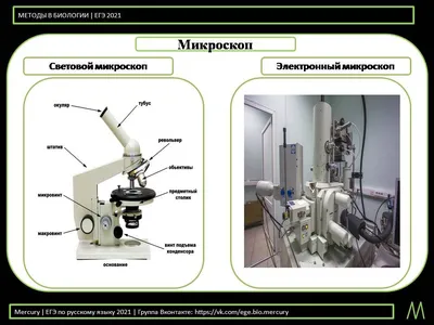 Электронный микроскоп BX53M – купить в Санкт-Петербурге и области по  выгодной цене и с гарантией качества от производителя