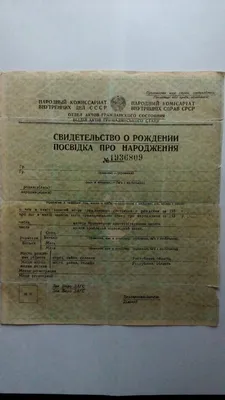 Свидетельство о рождении США (Birth Certificate) | AIST USA