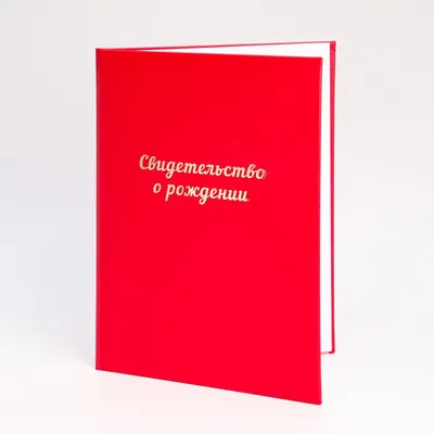 Свидетельство о рождении ребенка в КР можно получить после отмены режима ЧС  - 22.05.2020, Sputnik Кыргызстан